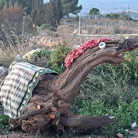 Vila Ca La Maria Lilla Exteriér fotografie